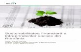 Sustenabilitatea financiară a · 2019-01-16 · Sustenabilitatea financiară a întreprinderilor sociale din România nesst.org pg. 2 Sustenabilitatea financiară reprezintă abilitatea