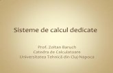 Prof. Zoltan Baruch Catedra de Calculatoareece.ubm.ro/ea/cursuri/SD/Baruch/Curs-SCD01.pdf · Orice sistem de calcul diferit de un calculator de uz general Există zeci de sisteme
