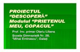 Modulul “PRIETENUL MEU, COPACUL” - Center for …education.inflpr.ro/res/DescProiectePprofesori/...Activitatea 5: Eu , copacul Evaluarea activit ţ ilor Observarea copacilor din