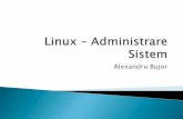 Linux – Administrare SistemPartitii: Primare Extinse/Logice Pentru a putea stoca date, o partitie trebuie formatata cu un sistem de fisiere De asemenea, o partitie trebuie “montata”