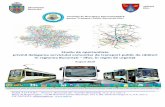 Studiu de oportunitate privind delegarea serviciului ... de oportunitate delegare de gestiune plus anexe.pdf · In vederea implementarii Programului Integrat de Transport Public de