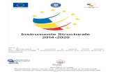 Babeș-Bolyai University - Plan de valorificare a …starubb.institute.ubbcluj.ro/wp-content/uploads/2019/08/... · Web viewProiect cofinanţat din Fondul Social European prin Programul