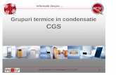 Grupuri termice in condensatie CGSromwolf.eu/p2/a_33_d_27_1296135132628_wolf_grup_termic_pardoseala_cgs... · Hidraulica . Grupuri termice in condensatie CGS / CGW 7 ... Ventil de