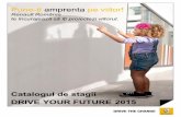 Catalogul de stagii DRIVE YOUR FUTURE 2015 · - Specializare Informatica/ Electrotehnica/ Automatizari - Cunostinte despre inclinare K20 simplificare si practica - Limba franceza