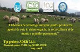 ˮElaborarea de tehnologii integrate pentru producerea · 2019-02-19 · Proiectul AR 7.1.1. cu titlul ‘laborarea de tehnologii integrate pentru producerea laptelui de oaie in sistem