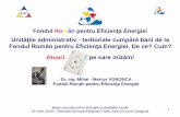 Fondul Român pentru Eficienţa Energiei...Faza ÎNTÂI: Acţiunea Economii de Energie!!! Masa rotundă privind atribuţiile autorităţilor locale 20 iunie, 2018 – Ramada Bucharest