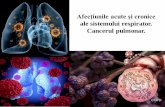 Afecţiunile acute și cronice...Tema: Afecţiunile acute și cronice ale sistemului respirator. Cancerul pulmonar. I. Micropreparate: 73. Pneumonie francă lobară (stadiul de hepatizaţie