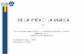 DE LA BREVET LA MARCĂ II · 2019-09-09 · Astfel, la data de 15 iulie 2013 a fost făcută o comandă online în numele unei persoane fizice, cu privire la două ceasuri de damă
