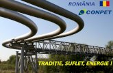 ROMÂNIA - bvb.robvb.ro/info/forum/Liviu Ilasi - Conpet.pdf · Calea ferată (CF) - transport ţiţei şigazolină. Sistem import - transport ţiţei din import, de la Oil Terminal