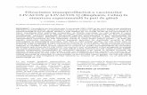 Eficacitatea imunoprofilactică a vaccinurilor LIVACOX şi ...scientia.zooparaz.net/2003_04_01/02-Cozma.pdf · număr de 60 pui (broiler) în vârstă de 10 zile, crescuţi în sistemul