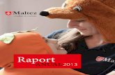 Raport - Maltezmaltez.ro/admin/wp-content/uploads/2016/05/Raport-anual-2013.pdf · asigură diferite servicii - la Aiud (30 de persoane), Braşov (16), Cluj-napoca (37), Târgu Mureş