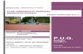 PRIMA VERSIUNE Rev - Pite¨â„¢ti beneficiar : municipiul pitesti proiectant de specialitate plan urbanistic