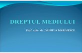 Prof. univ. dr. DANIELA MARINESCU · 2012-03-12 · Dreptul mediului este constituit din ansamblul complex al normelor juridice care reglementează relaţiile ce se stabilesc între