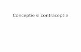 Conceptie si contraceptie ¢â‚¬¢ Fertilitatea maxima la femeie - intre 20-38 de ani, primii sapte ani fiind