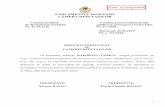 PARLAMENTUL ROMÂNIEI CAMERA DEPUTAŢILOR · 2019-06-25 · 1 PARLAMENTUL ROMÂNIEI CAMERA DEPUTAŢILOR Comisia juridică, de disciplină şi imunităţi Comisia pentru administraţie