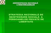 STRATEGIA NAŢIONALĂ DE REINTEGRARE SOCIALĂ A …anp.gov.ro/centrul-de-detentie-braila-tichilesti/wp-content/uploads/sites/4/2017/04/a...Campanii de prevenire a delincvenţei juvenile