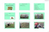 GŢ “Maria Darii” · cultivarea legumelor în sere în Gospodăria Țărăneascăde fermier “Maria Darii”, sat Chetrosu, raion Drochia Date Generale •Total teren –39 ha