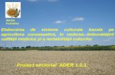 Proiect sectorial ADER 1.2.1.1.2.1/3 3.2. Întreţinerea şi recoltarea LT pentru culturile de toamnă an II În perioada de vegetaţie au fost efectuate următoarele operaţii tehnologice: