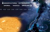 AlphaBank Romania · luna iulie. Va rZmane pe cerul de sear. pana la iarnš. 1-1k iulie - Planetele Marte Saturn in conjunctie. Pe cerul de searä, în aceastä perioadä vom putea