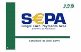 Schemele de plăŃi - Asociația Română a Băncilor (ARB) · Forum SEPA 2010 3 Componente ale SchemeiSEPA de Transfer Credit Contextul de afaceri pentru Utilizatorii si Furnizorii