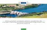 Ghid privind cerințele pentru producția de energie hidroelectrică în …ec.europa.eu/.../docs/hydro_final_june_2018_ro.pdf · 2018-09-27 · pentru evaluarea corespunzătoare