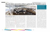 BOVISmagazin Alltech Biotechnology Romania Nutriţia junincilor …global.alltech.com/sites/default/files/documents/Nutritia... · 2018-09-07 · de slabă calitate, iar cel de la