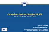 Cerințele de bază ale Directivei UE SEA · •Programe de măsuri Directiva-cadru privind Strategia pentru mediul marin(2008/56/CE) ... - a putea întreprinde măsuri de remediere.