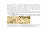 Almăjul medieval ț niște extrase - Tara Almajuluitaraalmajului.ro/pdf/almaj_medieval.pdf · În harta din 1788 apare și cetatea Almas pe un râu care probabil este Nera4 deoarece