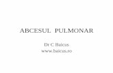 ABCESUL PULMONAR pulmonar.pdf · –bacterii piogene (staph aur, klebsiella, anaerobi, nocardia) –mycobacterii –fungi (coccidioides, histoplasma) –paraziti (entamoeba hystolitica)