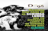 caine - Care For Dogs Romania Blog · din Brașov. Delia și-a asumat misiunea salvării animalelor si astfel a reușit să ajute în nu mai puțin de un an 350 de câini și 40 de
