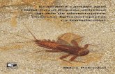 UNIVERSITATEA „BABEŞ BOLYAI” CLUJ NAPOCAbiologie.uvt.ro/publicatii/Petrovici_2009.pdf · Relaia lungime – greutate pentru ţ larvele de efemeroptere din Crişul Repede şi
