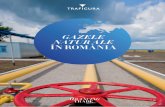 GAZELE NATUR ALE ÎN ROMÂNIA · natural și adoptarea normelor UE pentru liberalizarea pieței sale, Trafigura este în măsură să promoveze o piață de gaze lichidă, deschisă