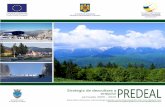 Strategia de Dezvoltare a oraşului Predeal, perioada 2009 ... · PDF file Numărul înnoptărilor turistice în structurile de cazare din oraşul Predeal, pe categorii de turişti,