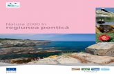 Natura 2000 în regiunea pontică - ec.europa.eu · plutitoare, stufăriș, lacuri, păduri străvechi și bancuri de nisip mobile. Întinzându-se pe mai mult de 4 500 km2, Delta