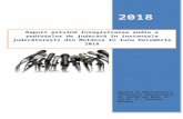 Raport privind înregistrarea audio a ședințelor de … · Web view2018 Agenția de Administrare a Instanțelor Judecătorești, bd. Ştefan cel Mare, nr. 124 bl.”B”, Chișinău,