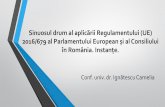 Sinuosul drum al aplicării Regulamentului (UE) … PPT 2019/Ignatescu...(Parlamentul uropean, 1995) act normativ cu aplicabilitate directă în statele membre, a intrat în vigoare