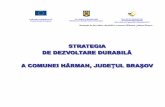 Strategia de dezvoltare durabil ă a comunei H ărman, jude şul Bra … · 2015-10-26 · UNIUNEA EUROPEAN Ă Fondul Social European GUVERNUL ROMÂNIEI Ministerul Administra iei