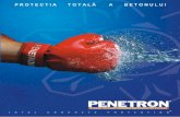 2007 Penetron brochure - Bizoo.roale produselelor cu suportul tehnic oferit clientului, ICS/Penetron continua sa afirme ... chimicä deasupra si sub nivelul solului. Aplicat sub forma