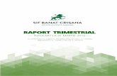 RAPORT TRIMESTRIAL · 4 SIF BANAT-CRIȘANA | Raport trimestrial întocmit la 31 martie 2016 3. PORTOFOLIUL LA 31 MARTIE 2016 Valoarea activului net Valoarea activului net (VAN) al
