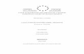 CONSEIL COUNCIL DE L’EUROPE COUR EUROPÉENNE DES …justice.md/file/CEDO_judgments/Moldova/UNISTAR VENTURES... · 2010-11-04 · o scrisoare Preedintelui Republicii Moş ldova,