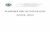 RAPORT DE ACTIVITATE ANUL 2012 - Guvernul Romaniei de activitate/RA2012DSP.pdf · - pe primul loc se situeaz ă îmboln ăvirile aparatului respirator – 274312, pe locul al 2-lea