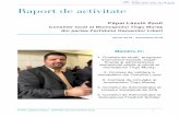 Raport de activitate - Târgu Mureș Papai Zsolt.pdf · am luat concediul de odihnă la începutul lunii, tocmai pentru a ﬁ prezent, ședințele comisiilor au fost devansate). Deasemenea