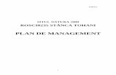 PLAN DE MANAGEMENT - Guvernul Romaniei · Istoricul revizuirilor şi modificărilor planului de management 1.6. Procedura de modificare şi actualizare a planului de management ...