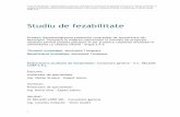 Studiu de fezabilitate - Timișoara · Studiu de fezabilitate - Retehnologizarea sistemului centralizat de termoficare din Municipiul Timişoara în vederea conformării la normele