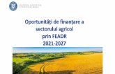 Oportunități de finanțare a sectorului agricol prin FEADR · Statele membre stabilesc condiții privind instalarea și conținutul unui plan de afaceri. Statele membre acordă