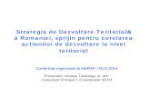 Strategia de Dezvoltare Teritorială NT Dinamici teritoriala si obiective 2035.pdfStrategia de Dezvoltare Teritorială a Romaniei, sprijin pentru corelarea actiunilor de dezvoltare