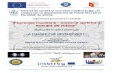 energia de mâine - Universitatea din Craiova · 2018-07-03 · UNIVERSITATEA DIN CRAIOVA Centrul de carieră și recrutare româno-bulgar, în colaborare cu Departamentul de Fizică