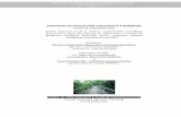 STRATEGIA DE DEZVOLTARE TERITORIALĂ A ROMÂNIEIsdtr.ro/upload/STUDII/22. Raport . Zone periferice si legaturi transfrontaliere.pdf · obiectivele de cooperare și convergență teritorială