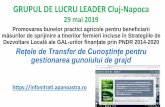 GRUPUL DE LUCRU LEADER Cluj-Napoca · GRUPUL DE LUCRU LEADER Cluj-Napoca 29 mai 2019 Promovarea bunelor practici agricole pentru beneficiarii măsurilorde sprijinire a tinerilor fermieri