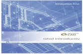 Ghid introductiv · 2015-06-12 · Despre Advance CAD Advance CAD este o platformă CAD compatibilă 100% cu fișierele DWG®. Prin intermediul unei interfee ergonomice, utilizatorii